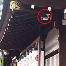 �z�E�_�Зl�ʐ^2