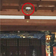 �z�E�_�Зl�ʐ^3