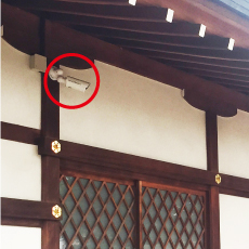 �z�E�_�Зl�ʐ^4